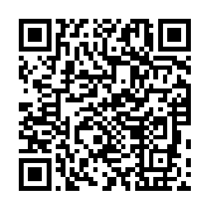 相信在用不了多久这些亡灵领主都会被我们完全控制起来二维码生成