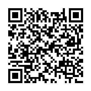 相信很快墨小宝就能明白什么药能用什么要慎用了二维码生成