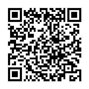 相信明天早上网络上面会出现金在珉一夫多妻的确实新闻二维码生成