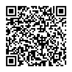 相信有了这个世界之心之后你若是想要回去重新掌控神殿的话也不是不可能的二维码生成