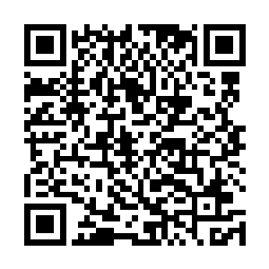 相信现在就算是遇到一般的地仙级别的人我也可以抗衡二维码生成