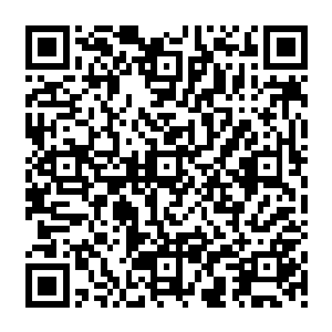 相信用不了多久　92楼楼主　绰号无尽波澜的太极拳高手陈凌易　就会成为新的91楼楼主吧二维码生成