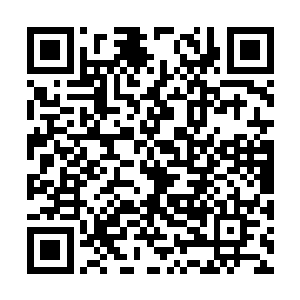 相反……他此刻所表达的意境却是一种哀伤与回忆二维码生成