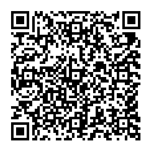 相对于他们的痛苦那些承受着剧烈伤害的中古上古逆反过的修士则是哀嚎着推动四大真界旋转二维码生成