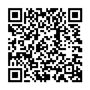 相对而言他们几个在室内作战的时候战力都会受到很大的影响二维码生成