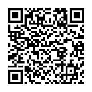 相比钟家三老太爷夫妻一直不曾当他们母子存在一样的表现二维码生成