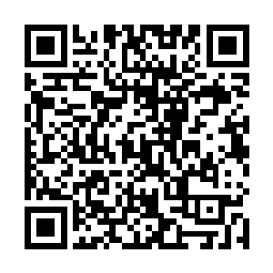 省委一把手和二把手用一样的口吻和语气出同样的话来二维码生成