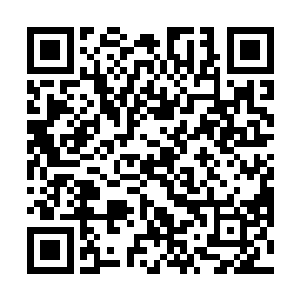 省长罗宝列和主管省财政厅的常务副省长梁文广都不在二维码生成