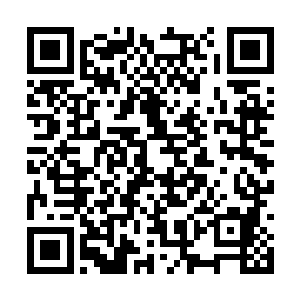 看上去丝毫不像是仅仅只是吓唬他们仨人那般简单二维码生成