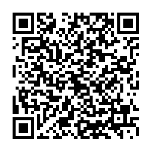 看不清伤口愈合程度的就把那些奴隶伤口上的药粉全部抹去再看愈合效果二维码生成