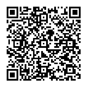 看不清面容 但从其神色气质 以及所散发的气息 可以感受到一种历经岁月的无上风采二维码生成
