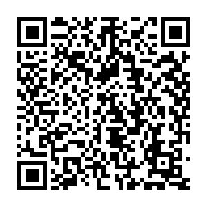 看似无比锐利的金色的利爪却没有给灰色的巨印留下哪怕一点的伤痕二维码生成