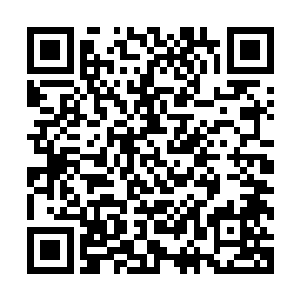 看似锦衣卫前段时间革新的时候的动荡没有伤及锦衣卫的核心二维码生成