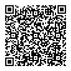 看到之前被他轻松杀死的几只紫月天冥鼠就下意识的认为这种灵兽不会攻击只会一些辅助性技能二维码生成