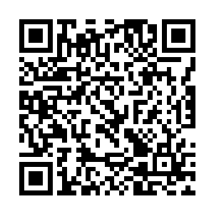 看到了一张你的脑波活动图――那是冥修师通过秘法二维码生成