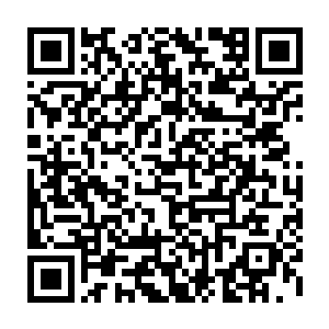 看到了它比划动作的人却是诡异的明白了这些复杂的手势当中蕴藏的意义二维码生成