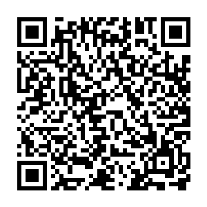 看到他长长轻垂的羽睫下淡漠疏离中隐藏着的那抹薄媚明丽的颜色二维码生成