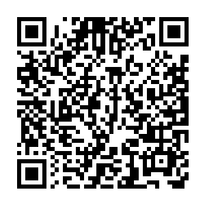 看到大家有点惊愕的神态和丁二狗表现出的我是不是走错门的不解二维码生成