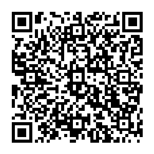 看到学校的副院长威姿老太太和另外两名学生都在秦洛的穴位指挥下做出各种各样的动作二维码生成