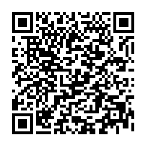 看到最后连打戏都真的有点无聊……倒是最开始在世界尽头的那段还挺不错的二维码生成