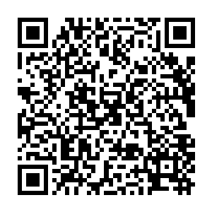 看到最近一段时间的瑞典新闻界因为这支华夏中医代表团的到来而搅的风起云涌二维码生成