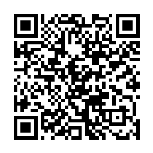 看到的便是这巨木魈霸气无比的矗立在山坡上的树林当中二维码生成