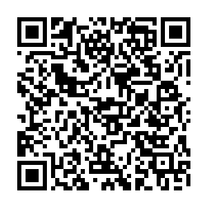 看到自己旁边的一个人拿着一截老鼠尾巴一样的东西在咔嚓咔嚓的用力咀嚼着二维码生成