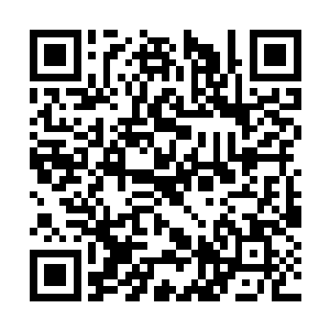 看到这一幕他们便是会以为秦宇已经是渡劫成功了二维码生成