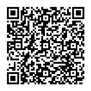 看到那和早逝的妹妹有七分相似的面容又比妹妹更多了几分坚强的模样不由得轻叹了一声二维码生成