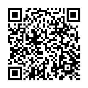 看到那朵靡丽妖娆的花朵在绝倾殇白皙如玉般的肌肤上绽放二维码生成