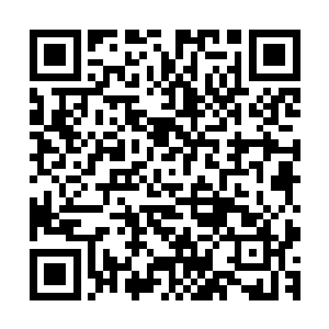 看向燕离的两只黑眼珠子像浸在水里的黑玻璃珠似的滚来滚去二维码生成