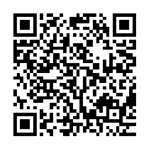 看在你这么多年为了修炼小队兢兢业业的份上或许会网开一面二维码生成