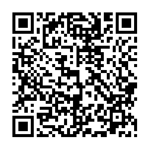 看我们寒王世子和沈家大小姐的感情可真是如同传言一般的感情可真够好的二维码生成