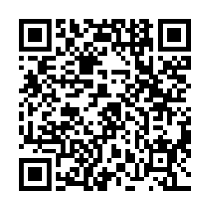 看本书最新章节请到们不仅可以减少救出医生等人的代价二维码生成