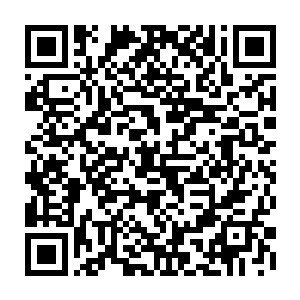 看来他之前判断这些个鱼的血肉确实没有他们自身孕育的宝珠要好是正确的二维码生成