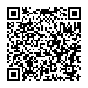 看来你的保镖打手方老师在知道你隐瞒欺骗他的真相后不会再帮你了二维码生成