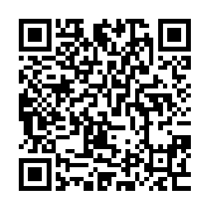 看来同样的胖揍再挨上四五次的话这颗果实也差不多要成熟了二维码生成