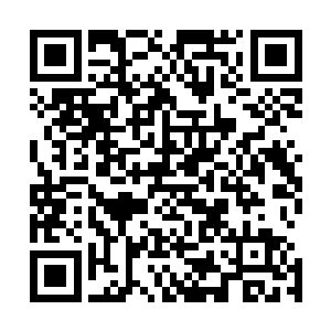 看来我必须要做出点实实在在的可以应用的样品才能说服你二维码生成