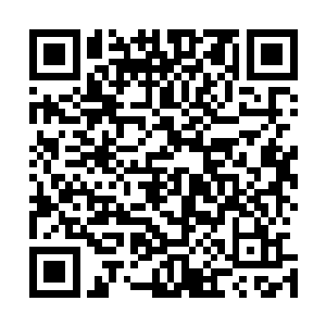 看来白芷璃开的这家药铺确实对炼丹公会造成了一定的影响二维码生成