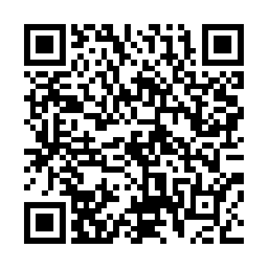 看来自己留在他体内那一股往念衍生经的真气还是有作用的二维码生成