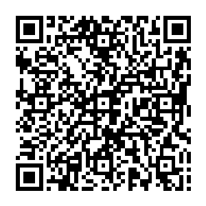 看来萧先生分析得确实有道理……睿亲王昨日找了北城兵马司指挥和左金吾卫商议二维码生成