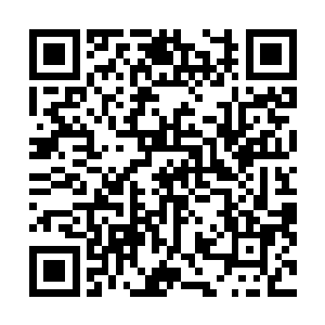 看来这一次……校花是彻底地不会原谅你了……你节哀吧二维码生成