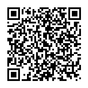 看来这个所谓的晓月山根本不是修真文录中所言的正大光明的修仙门派二维码生成