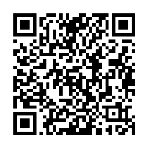 看来金家在博塞利家族开设的赌场娱乐城安插了不少的眼线二维码生成