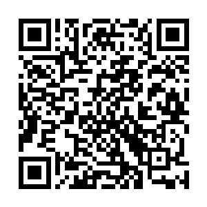 看样子似乎倒也不完全是依靠给夏力行当秘书的这个因素二维码生成