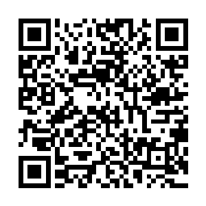 看样子对方已经隐瞒着身份和实力在隐世在凡人界已经许久二维码生成