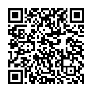 看样子是打算无所不用极其的将云起舞和南寻风杀死二维码生成