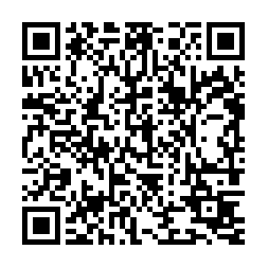 看样子是那些在外界厮杀的阿修罗收到了之前那些修罗发出去的消息二维码生成