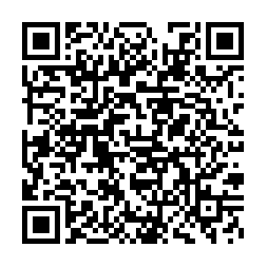 看样子本大爷的任务快要完成了……多少年了……本大爷终于要自由了二维码生成