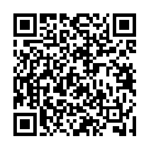 看样子梓城也是打定主意要在现代农业产业上做文章了二维码生成